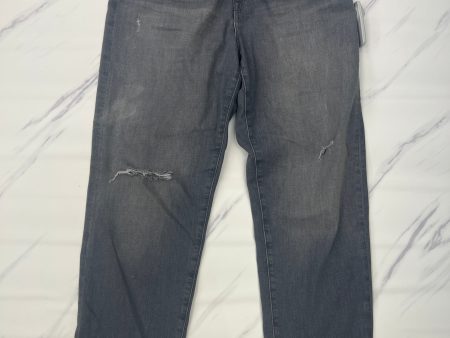 Grey Jeans Straight Hudson, Size 4 Discount